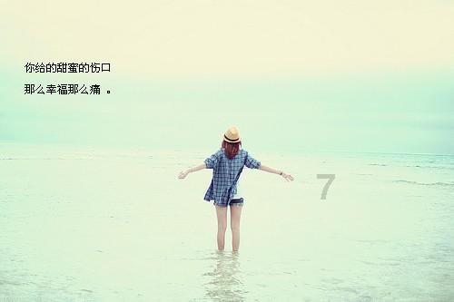红红火火!氛围感拉满!厦门街头年味渐浓